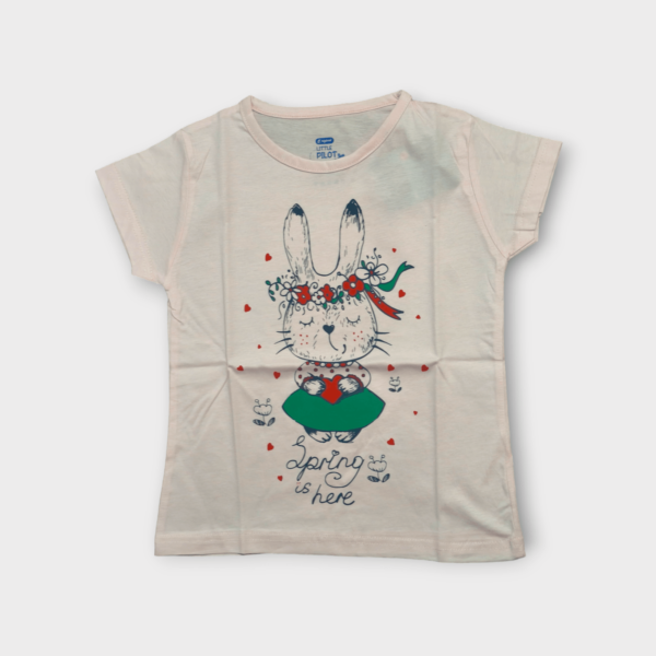 Girls t-shirt cotton and printed t-shirt for girls kids aged 2-4 – soft toddler clothes for comfort and style.