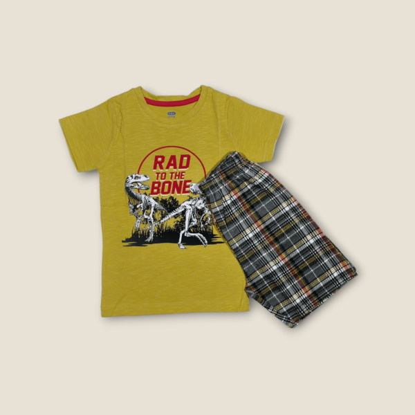 T-shirt and shorts set for boys toddler clothing, boys t-shirt and shorts set for 2-4 years old, soft cotton outfit perfect for active toddlers.
