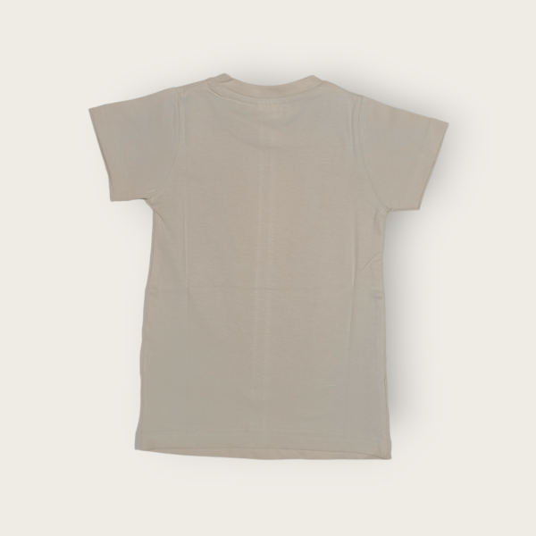 T-shirt for boys cotton t-shirt for boys stylish boys t-shirt for 5-14 years old, perfect for daily wear