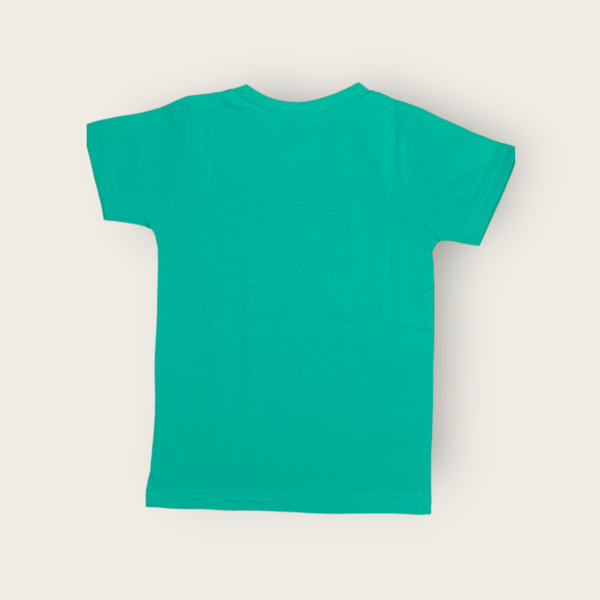 T-shirt for boys cotton t-shirt for boys stylish boys t-shirt for 5-14 years old, perfect for daily wear