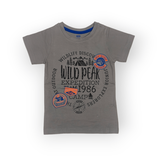T-shirt and shorts set for boys toddler clothing, boys t-shirt and shorts set for 2-4 years old, soft cotton outfit perfect for active toddlers.