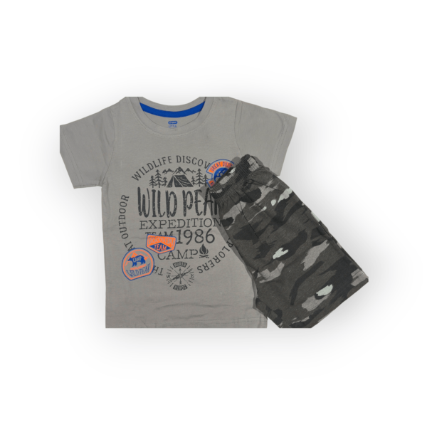 T-shirt and shorts set for boys toddler clothing, boys t-shirt and shorts set for 2-4 years old, soft cotton outfit perfect for active toddlers.