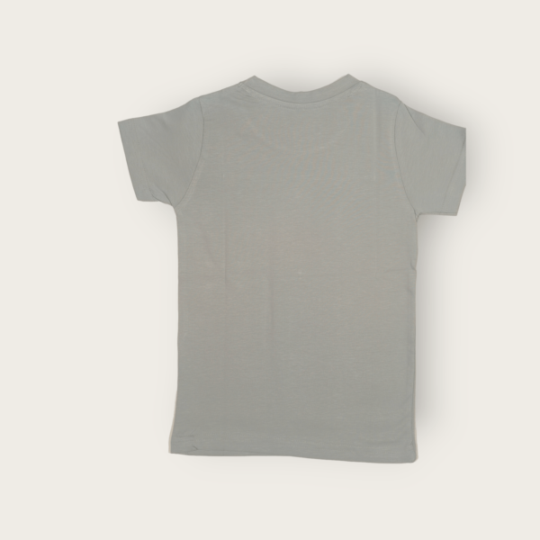 T-shirt for boys cotton t-shirt for boys stylish boys t-shirt for 5-14 years old, perfect for daily wear