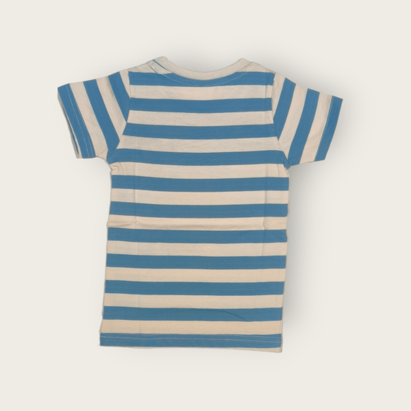 T-shirt for boys cotton t-shirt for boys stylish boys t-shirt for 5-14 years old, perfect for daily wear